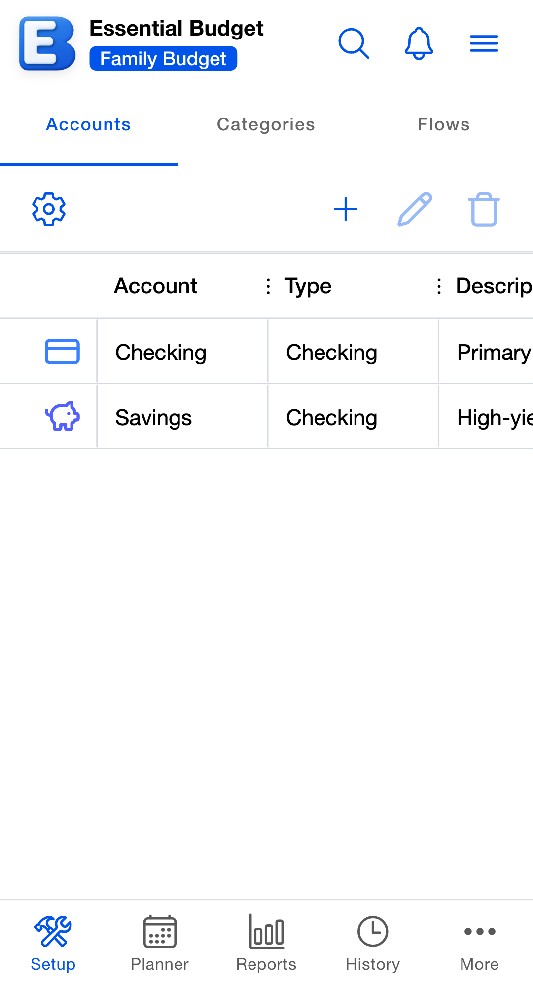 The Accounts segment of the Setup tab, showing a toolbar above a grid that lists two accounts by name, type and description.