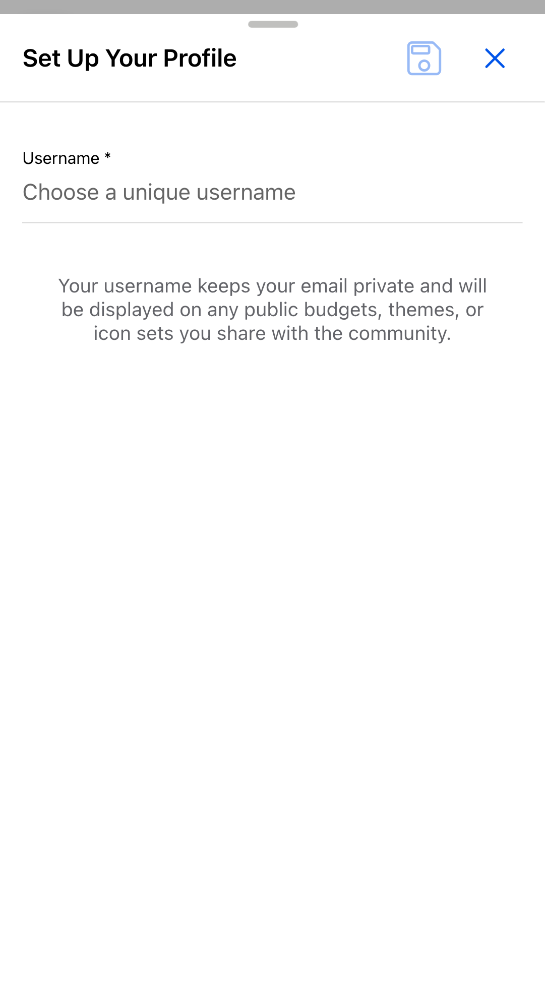 The Set Up Your Profile dialog on first use, with the Username field and a note that the username keeps your email private.