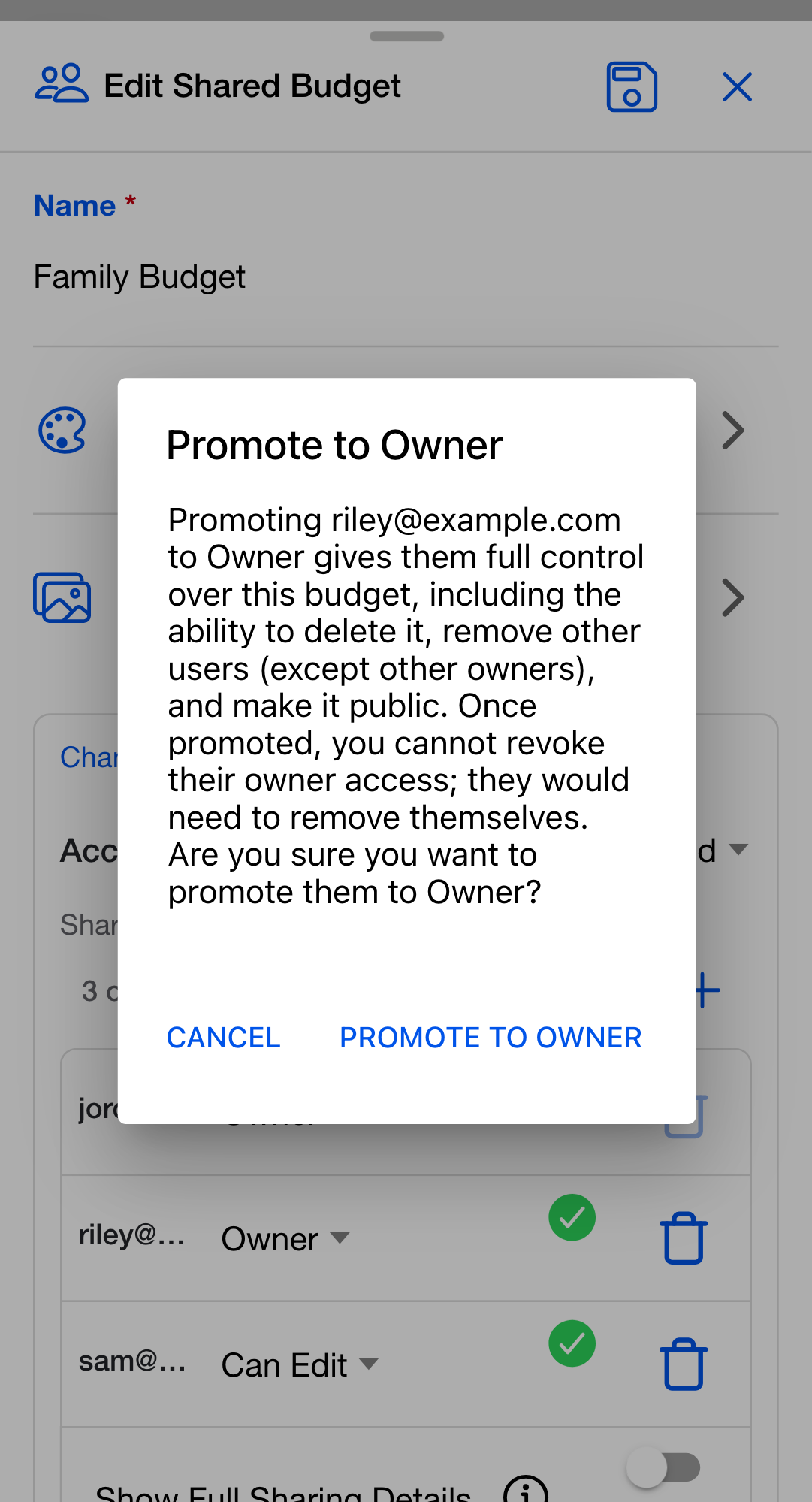 The Promote to Owner confirmation dialog, explaining the promoted person gains full control including deleting the budget, and that owner access cannot be revoked once granted.