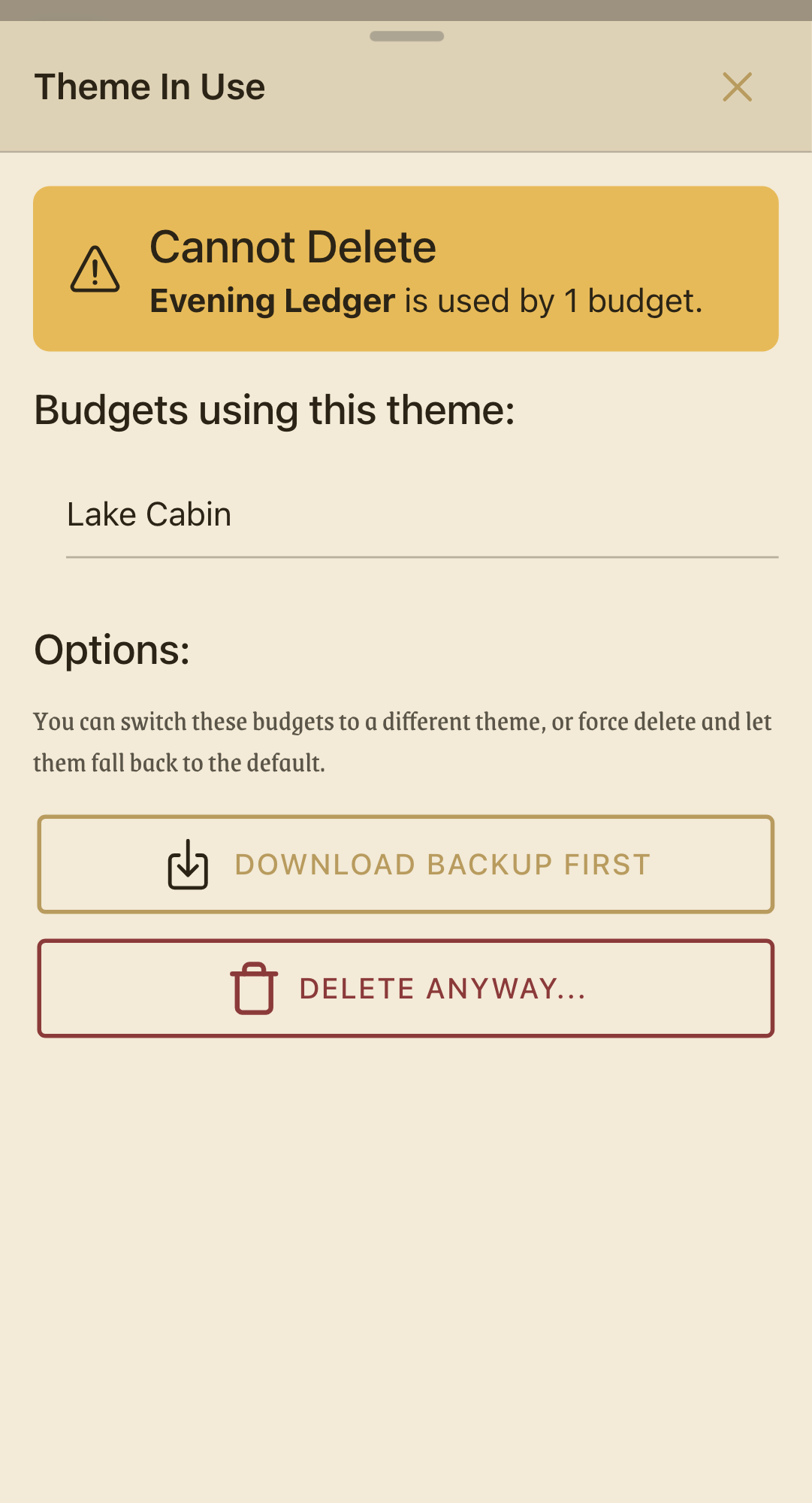 Theme In Use dialog headed "Cannot Delete", noting that the theme is used by one budget and naming that budget below. Underneath, a Download Backup First button and a Delete Anyway button.